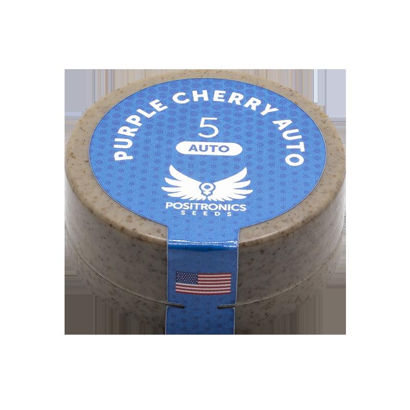 POSITRONICS PURPLE CHERRY AUTO 5UDS