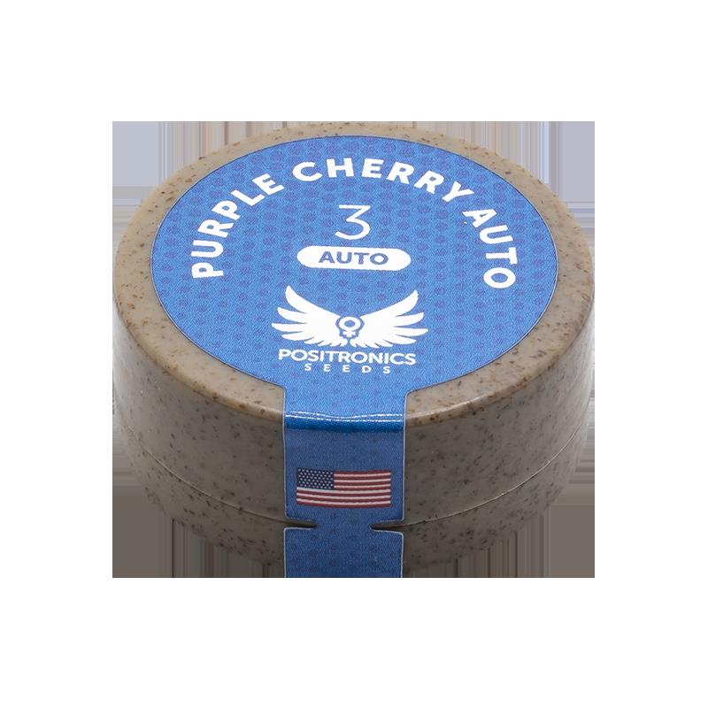 POSITRONICS PURPLE CHERRY AUTO 3UDS