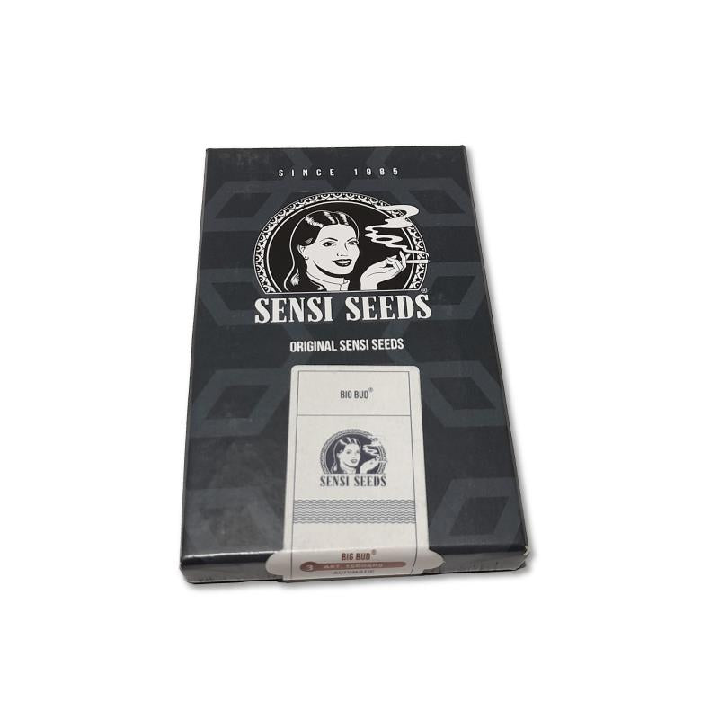 SENSI SEEDS BIG BUD AUTO 3UDS