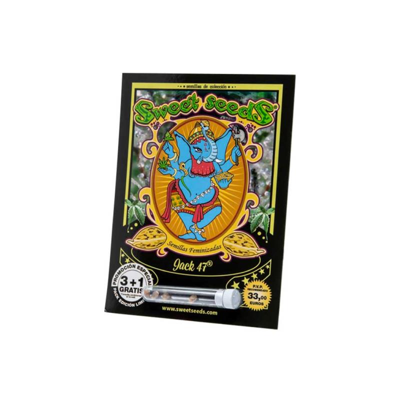SWEET SEEDS JACK 47 F1 3+1UDS