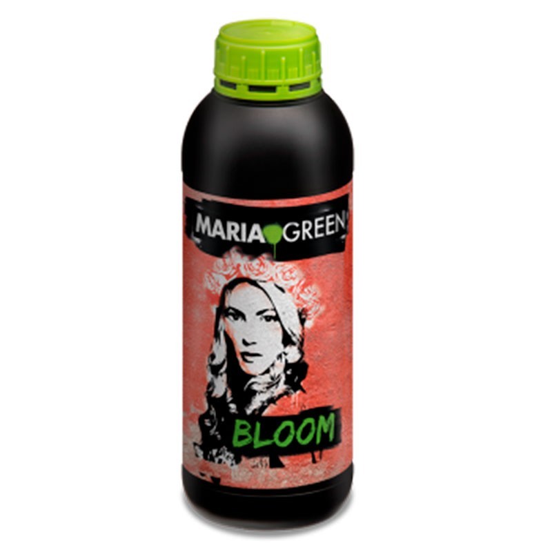BLOOM 1L MARIA GREEN