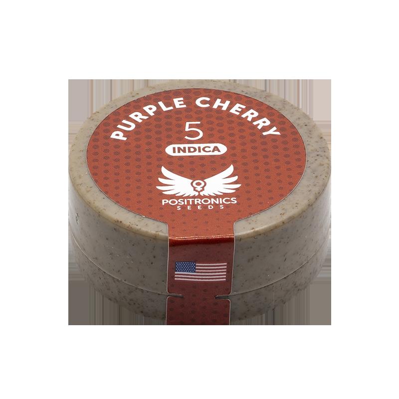 POSITRONICS PURPLE CHERRY 5UDS