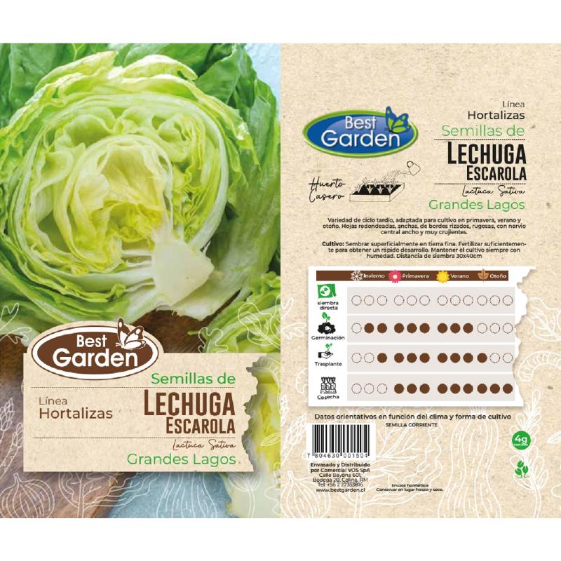 BEST GARDEN SEMILLA LECHUGA ESCAROLA 4GRS 5UDS