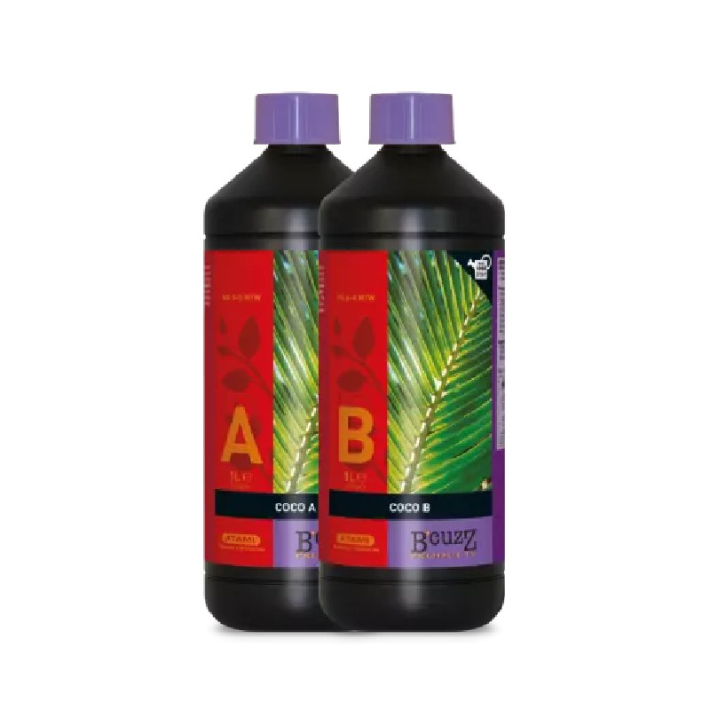 MICRO KIT B CUZZ COCO ATAMI