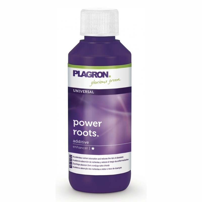 POWER ROOTS 100ML PLAGRON