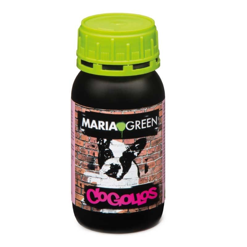 COGOLLO 250ML MARIA GREEN