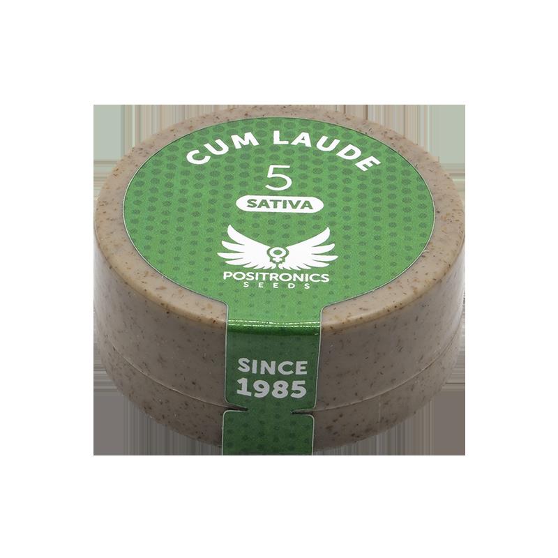 POSITRONICS CUM LAUDE 5UDS