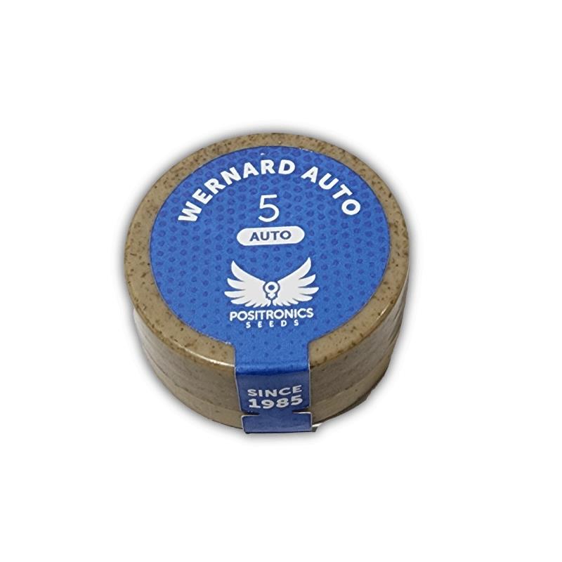 POSITRONICS WERNARD AUTO 5UDS