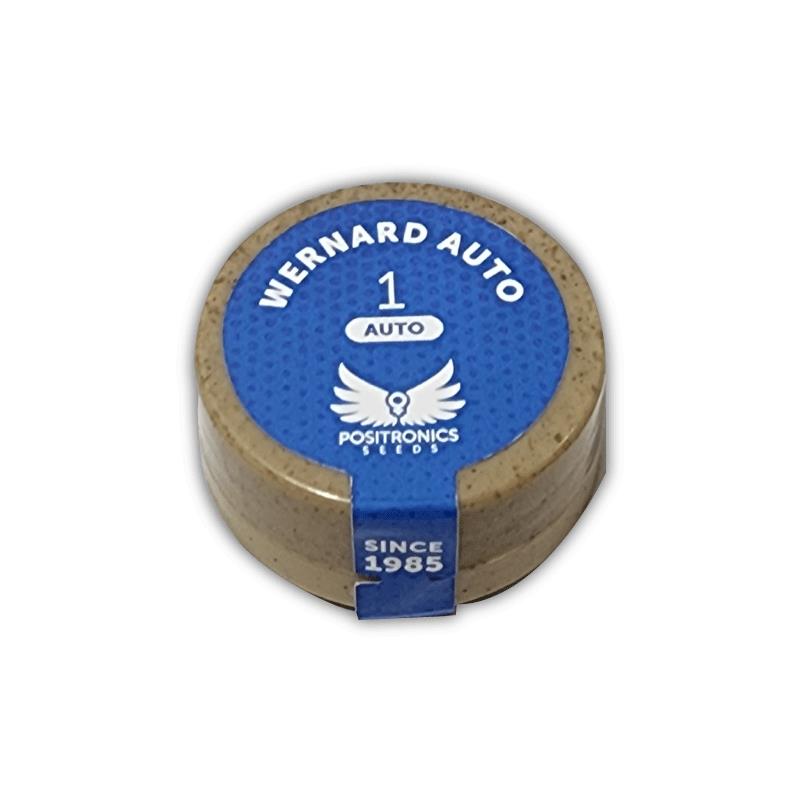 POSITRONICS WERNARD AUTO 1UD