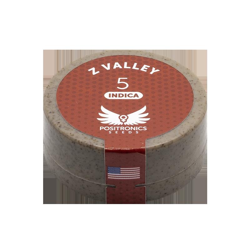 POSITRONICS Z VALLEY 5UDS