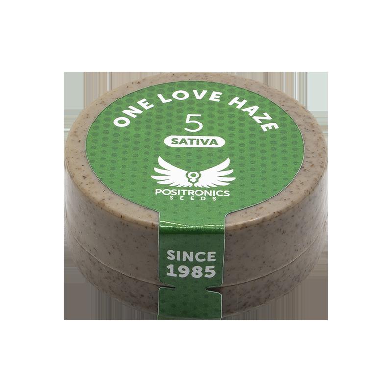 POSITRONICS ONE LOVE HAZE 5UDS
