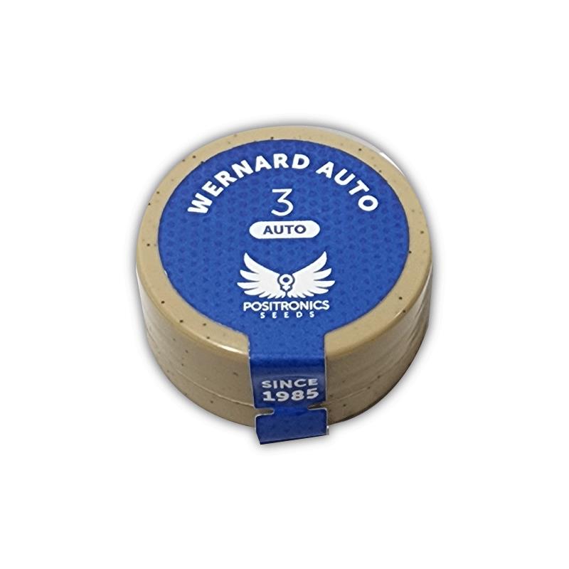 POSITRONICS WERNARD AUTO 3UDS