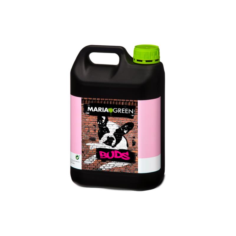 BUDS 5L MARIA GREEN