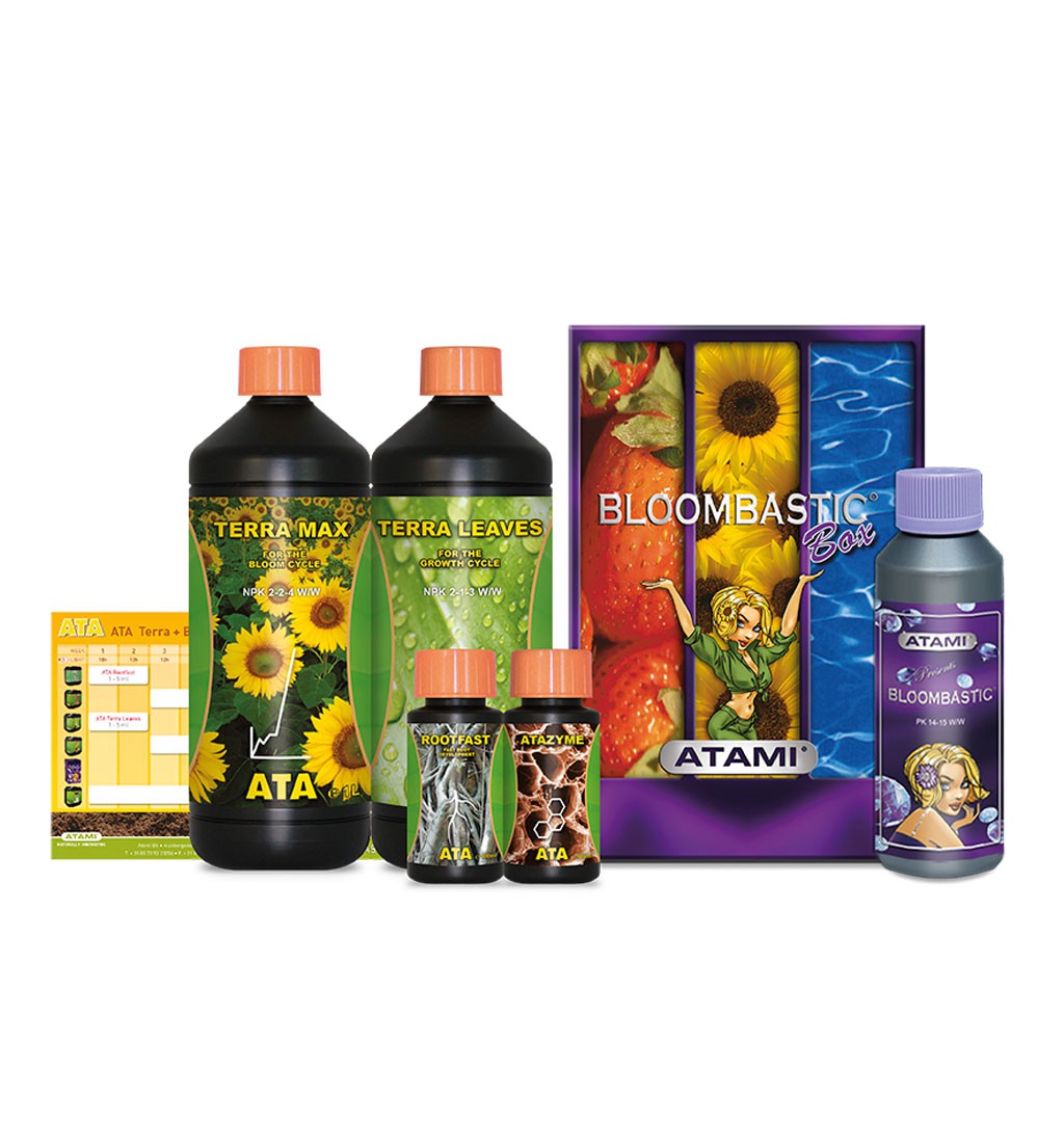 BOX BLOOMBASTIC TERRA