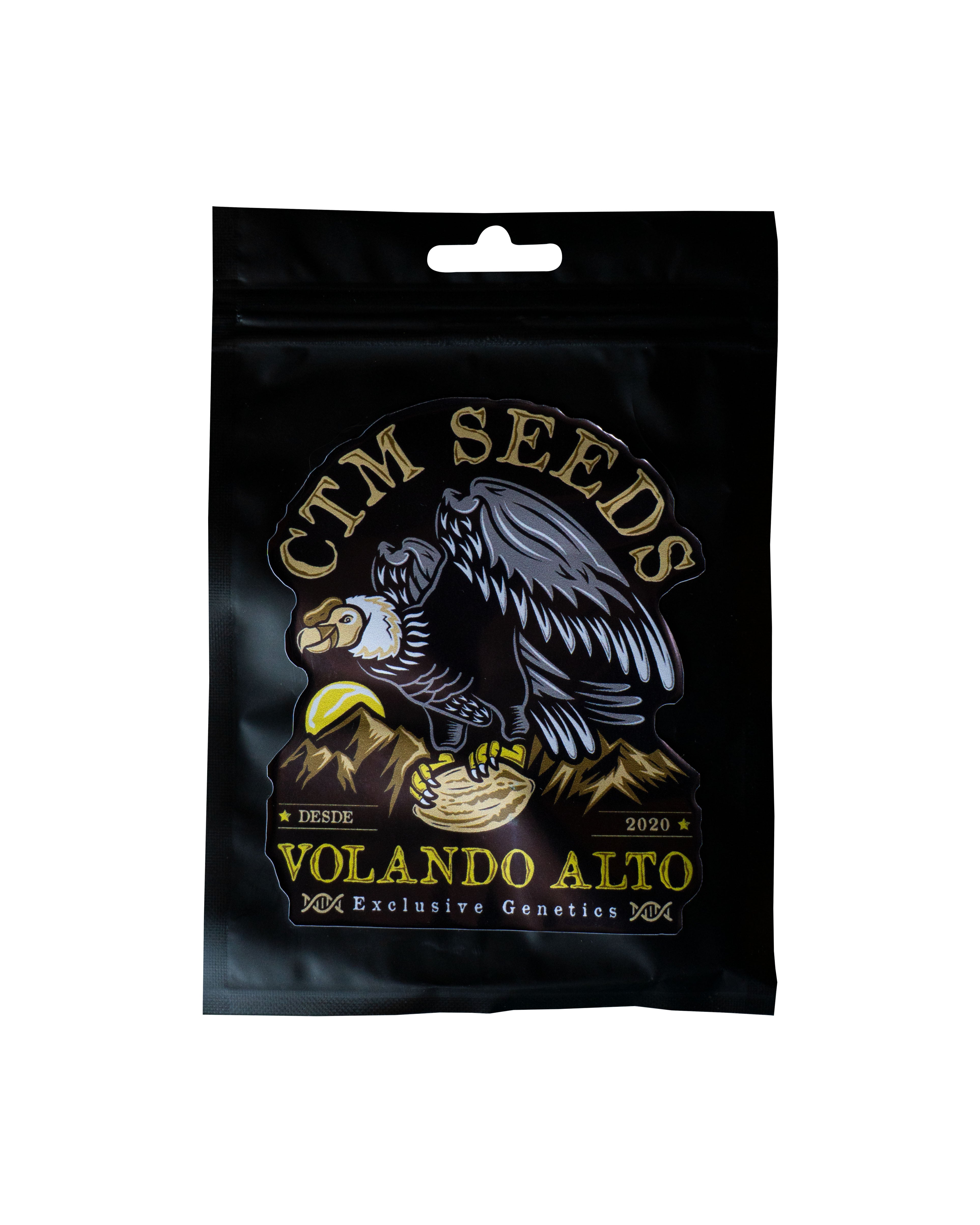 Mints Velvet Gary - CTM Seeds