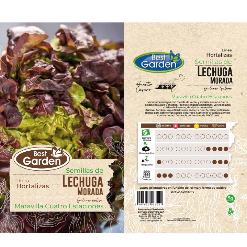 BEST GARDEN SEMILLA LECHUGA MORADA 5GRS 5UDS