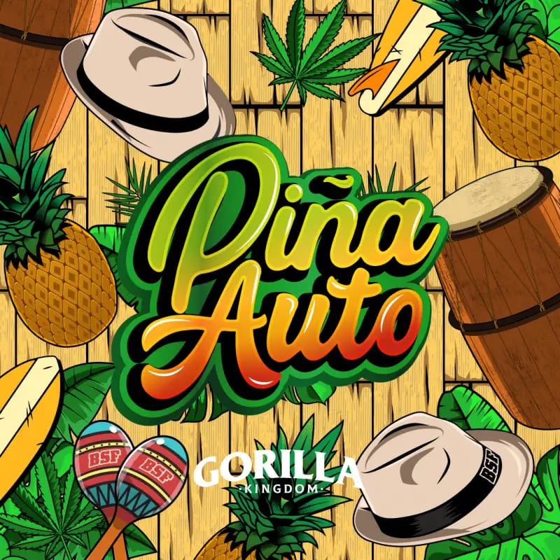 GORILLA PIÑA AUTO 7UDS BSF SEEDS