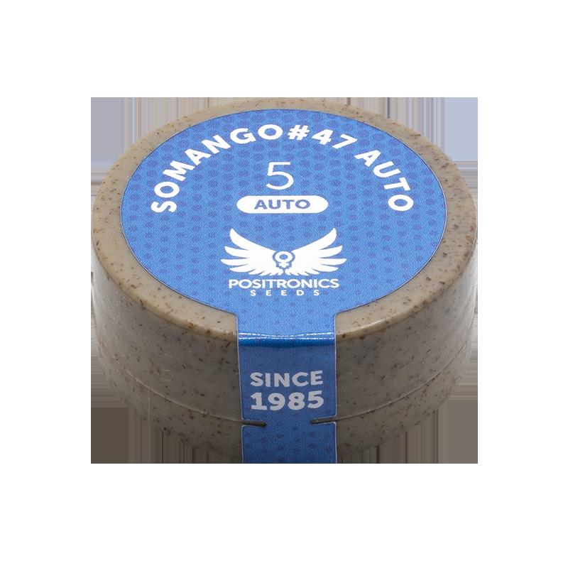 POSITRONICS SOMANGO 47 AUTO 5UDS