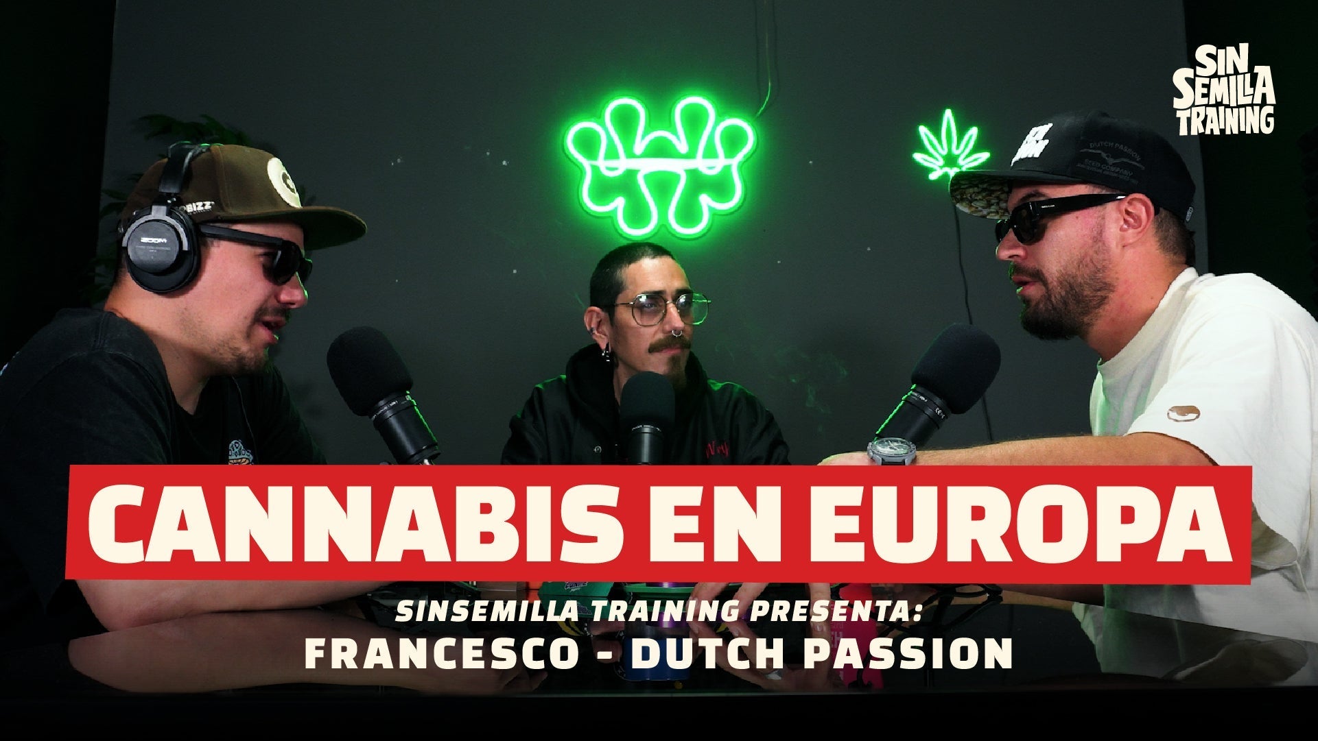 Dutch Passion: innovación y cultivo legal desde Ámsterdam