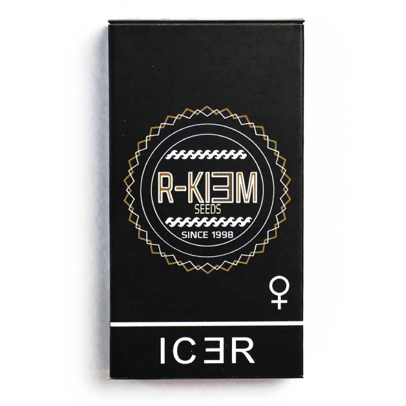 RKIEM SEEDS ICER 3UDS
