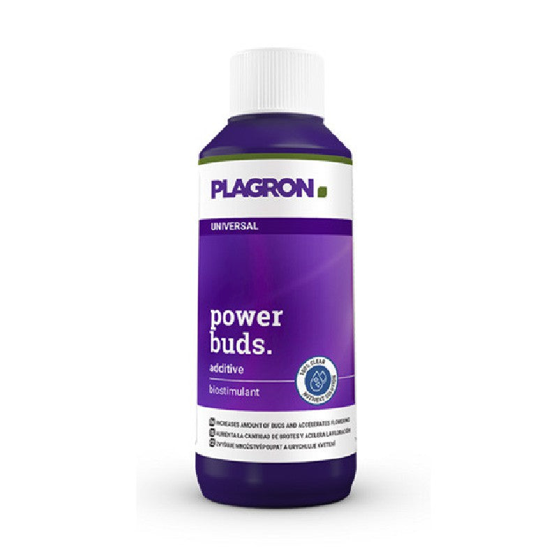POWER BUDS 100ML PLAGRON