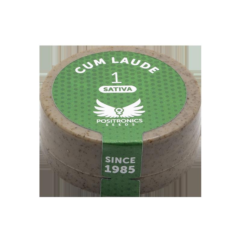 POSITRONICS CUM LAUDE 1UD