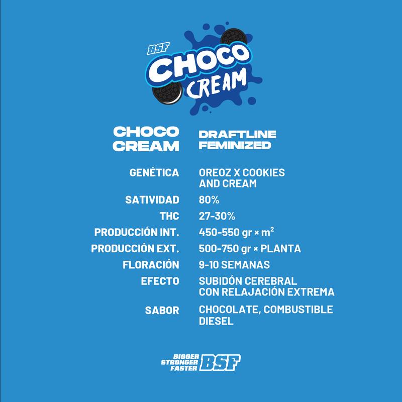 CHOCO CREAM 4UDS BSF SEEDS