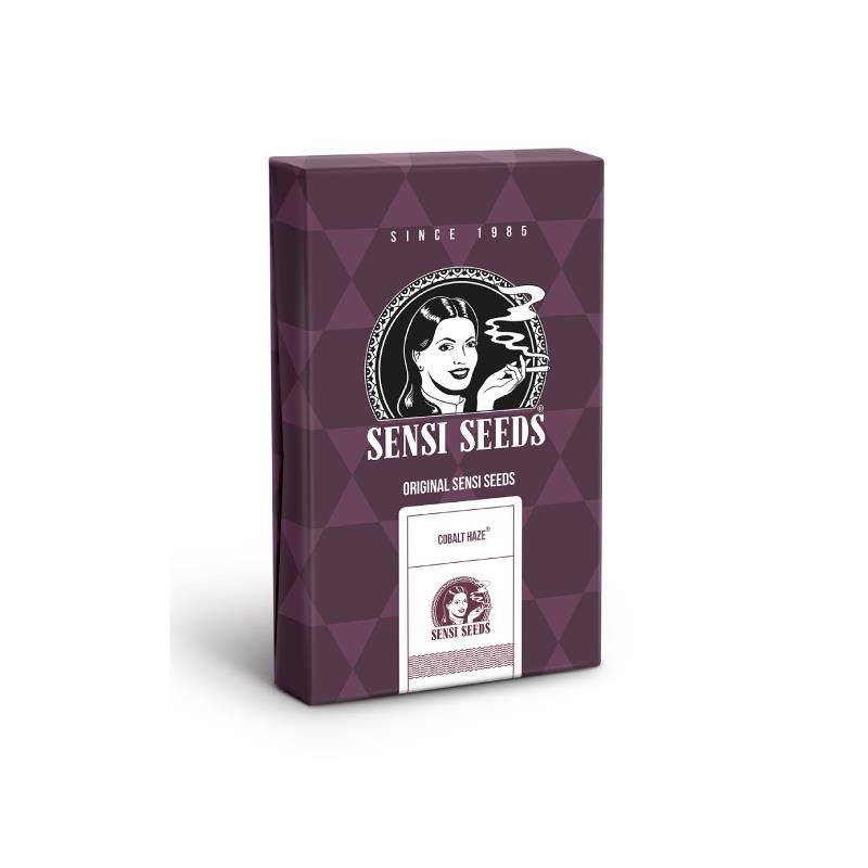 SENSI SEEDS COBALT HAZE 3UDS