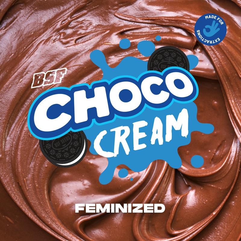 CHOCO CREAM 2UDS BSF SEEDS