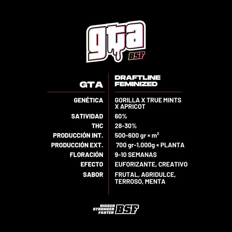 GTA 2 UDS BSF SEEDS