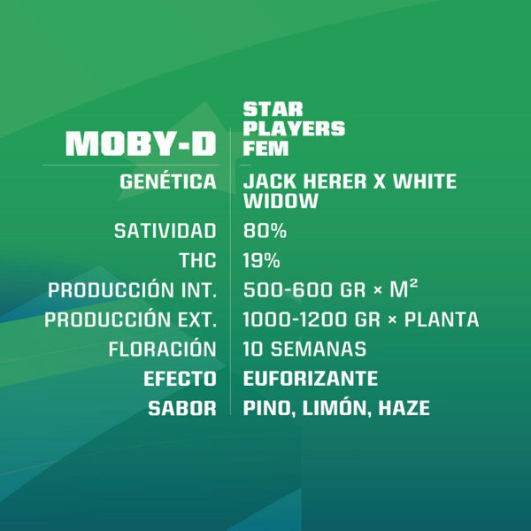 MOBY-D 2 UDS BSF SEEDS