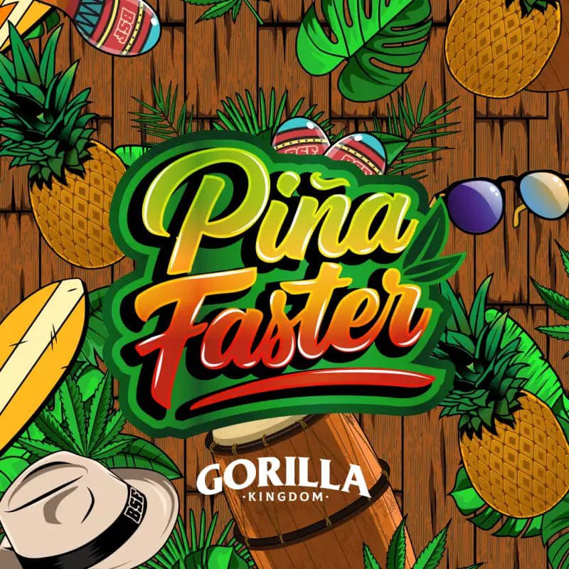 GORILLA PIÑA FF GK 4UDS BSF SEEDS