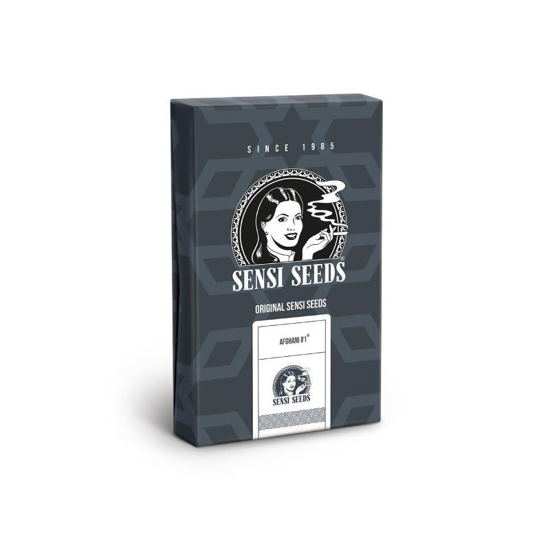 SENSI SEEDS AFGHANI 1 AUTO 3UDS