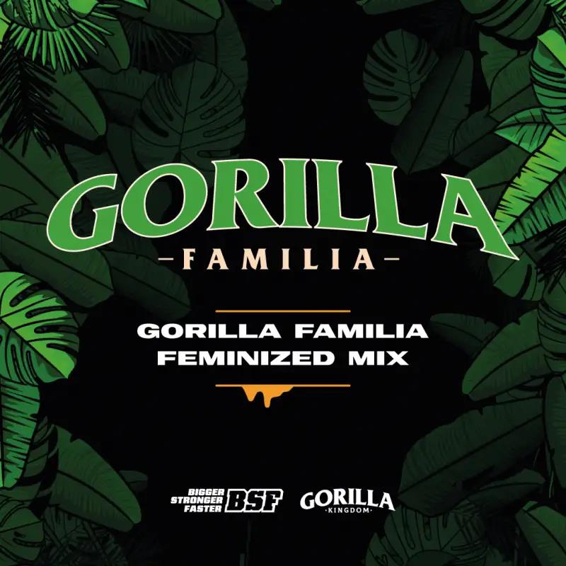 GORILLA FAMILIA GK 12 UDS BSF SEEDS