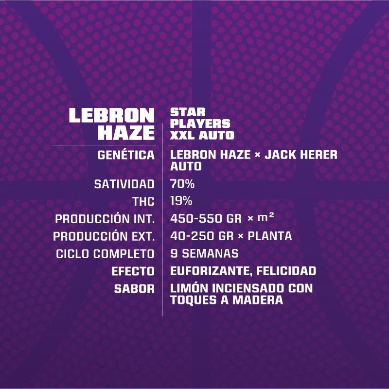 LEBRON HAZE AUTO 4UDS BSF SEEDS