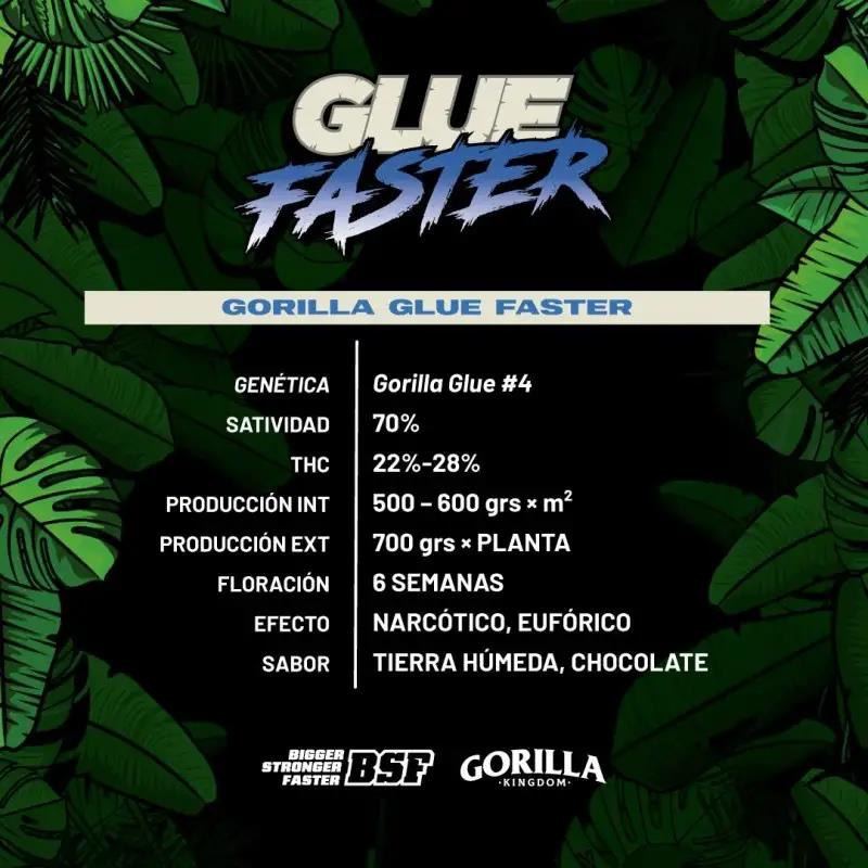 GORILLA GLUE FASTER GK 4UDS BSF SEEDS