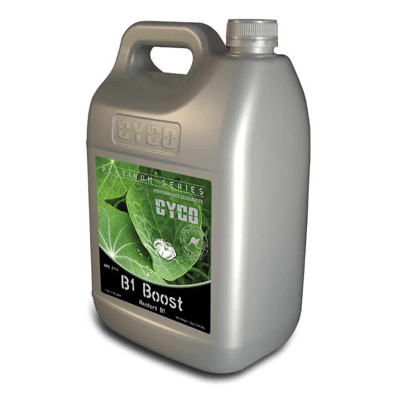 B1 BOOST 5L CYCO