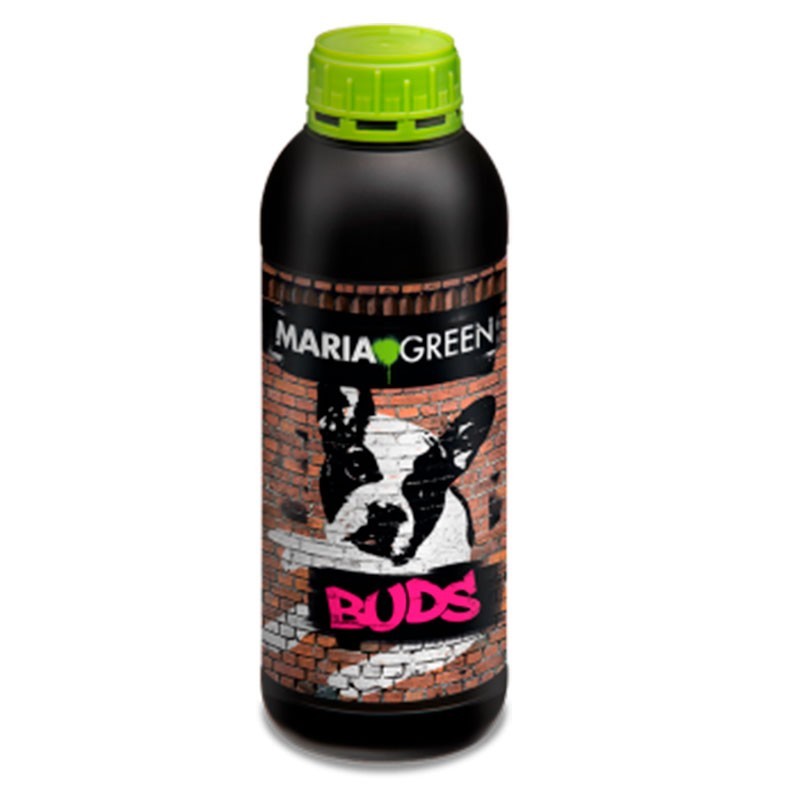 BUDS 1L MARIA GREEN