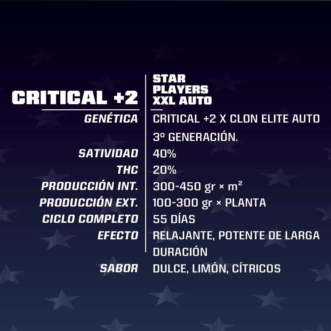 CRITICAL +2 XXL AUTO 4UDS BSF SEEDS