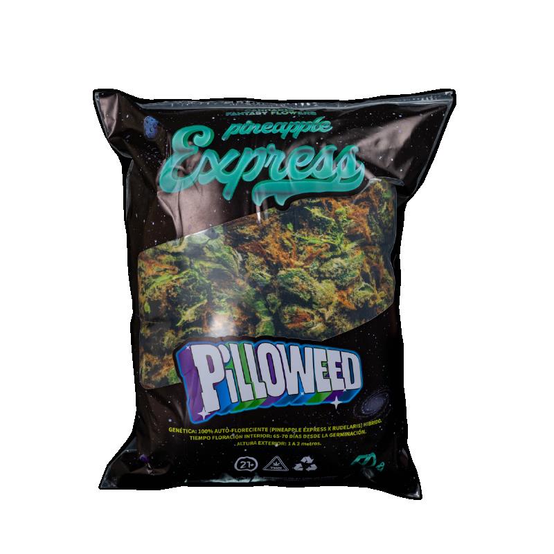 PINEAPPLE TAMAÑO M PILLOWEED