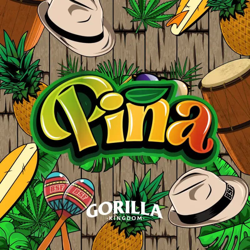 GORILLA PIÑA GK 12UDS BSF SEEDS