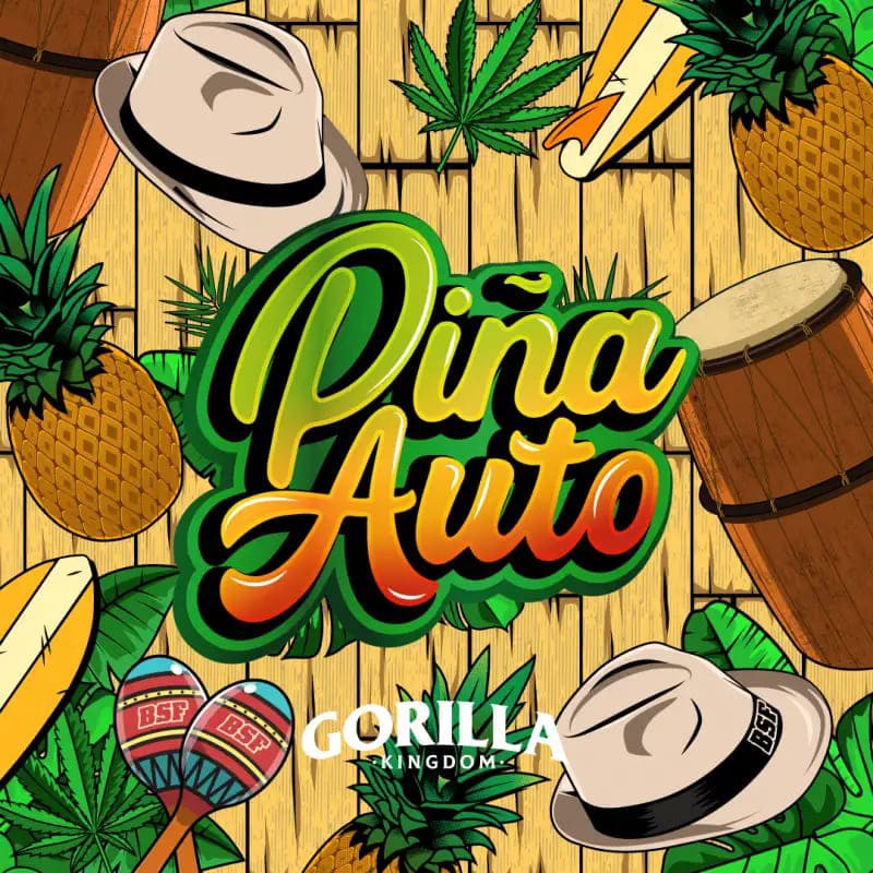 GORILLA PIÑA AUTO 12UDS BSF SEEDS