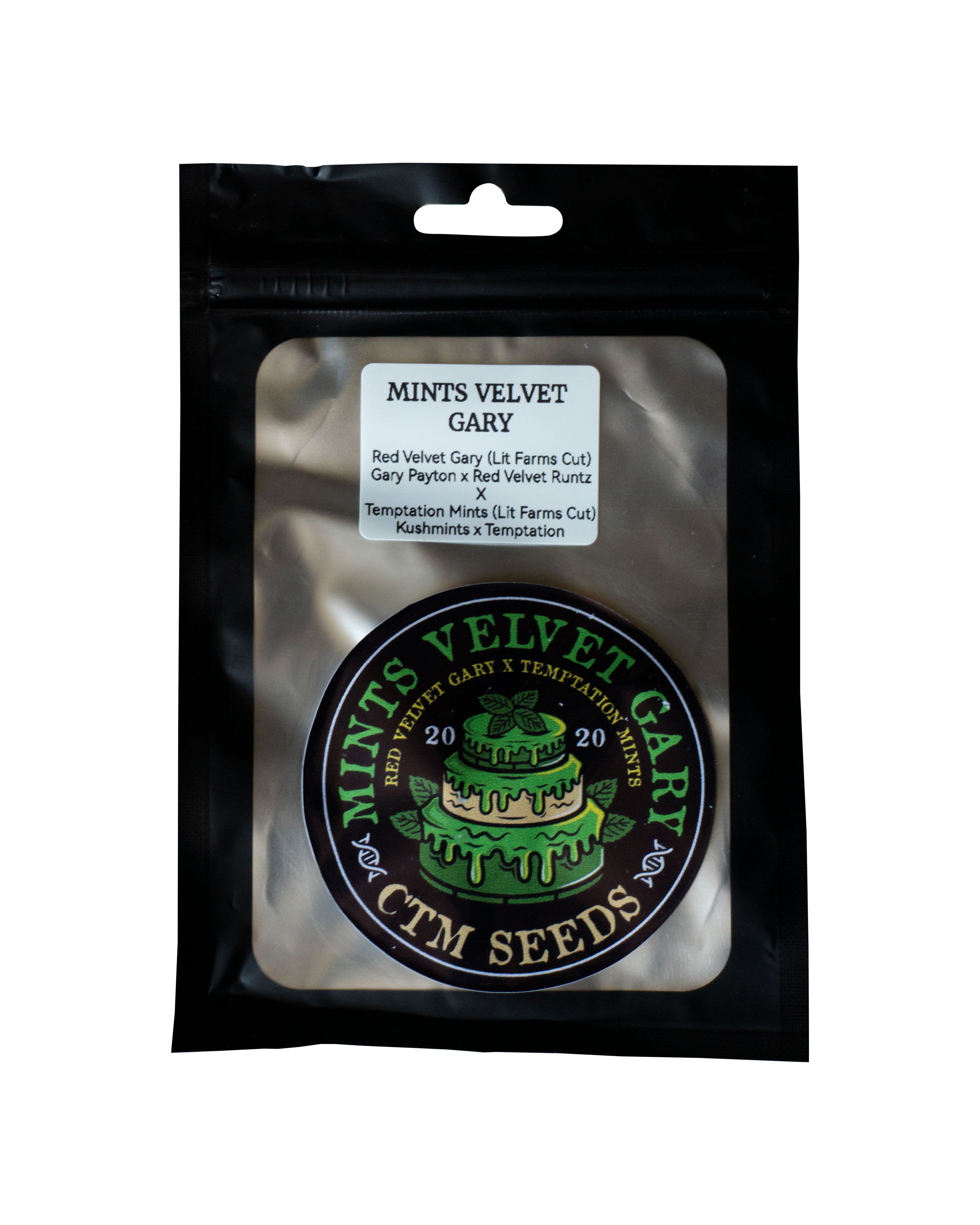 Mints Velvet Gary - CTM Seeds