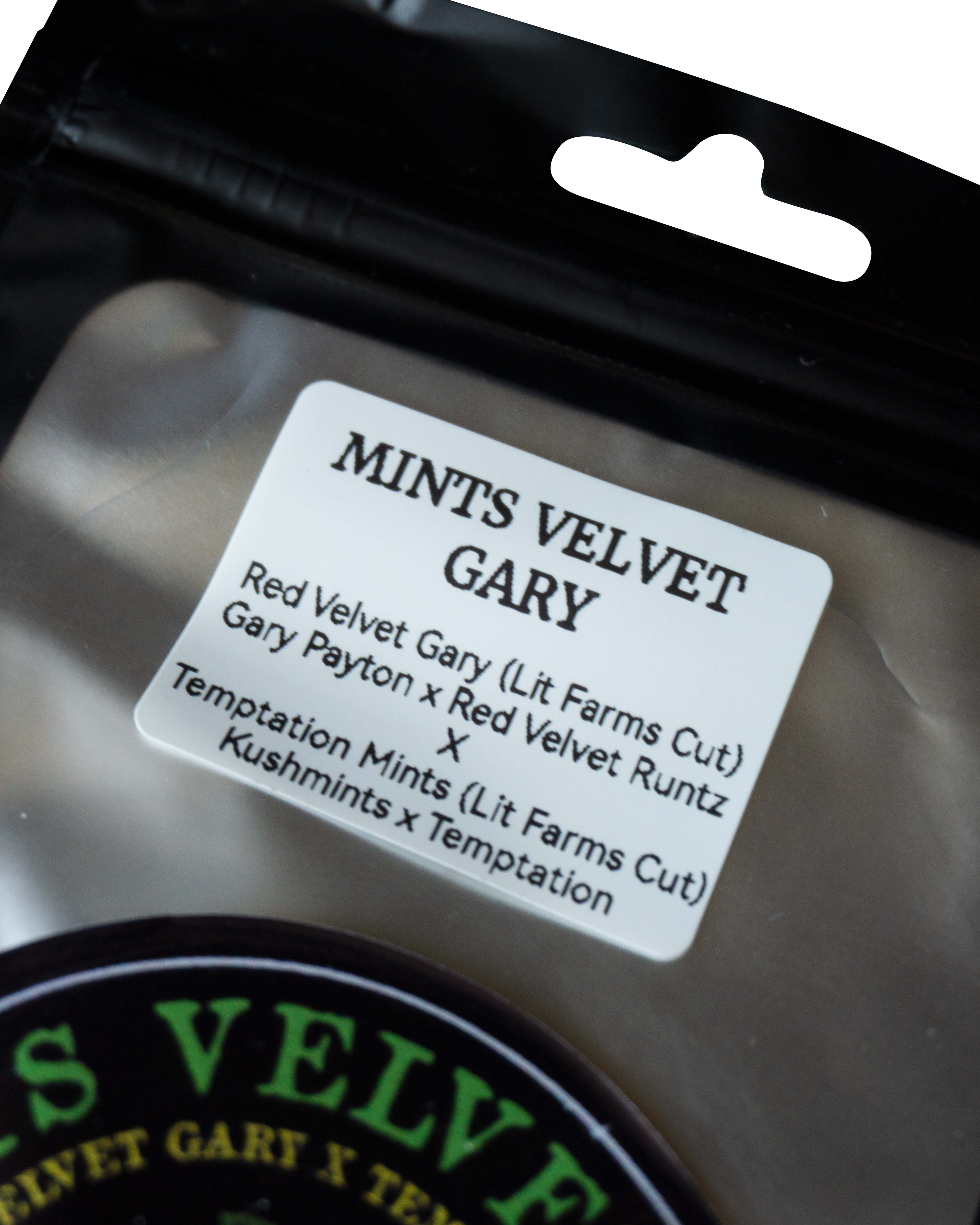 Mints Velvet Gary - CTM Seeds