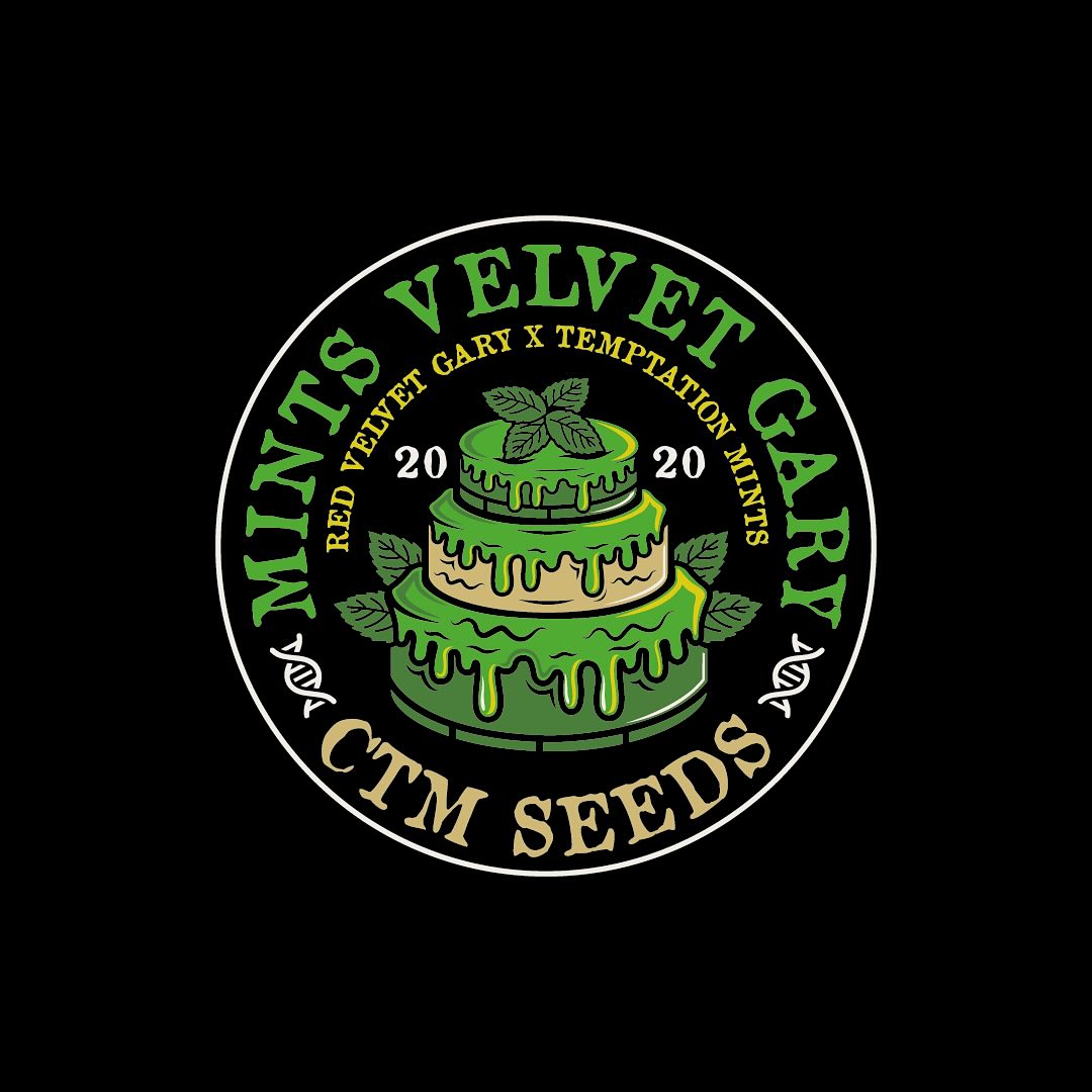 Mints Velvet Gary - CTM Seeds