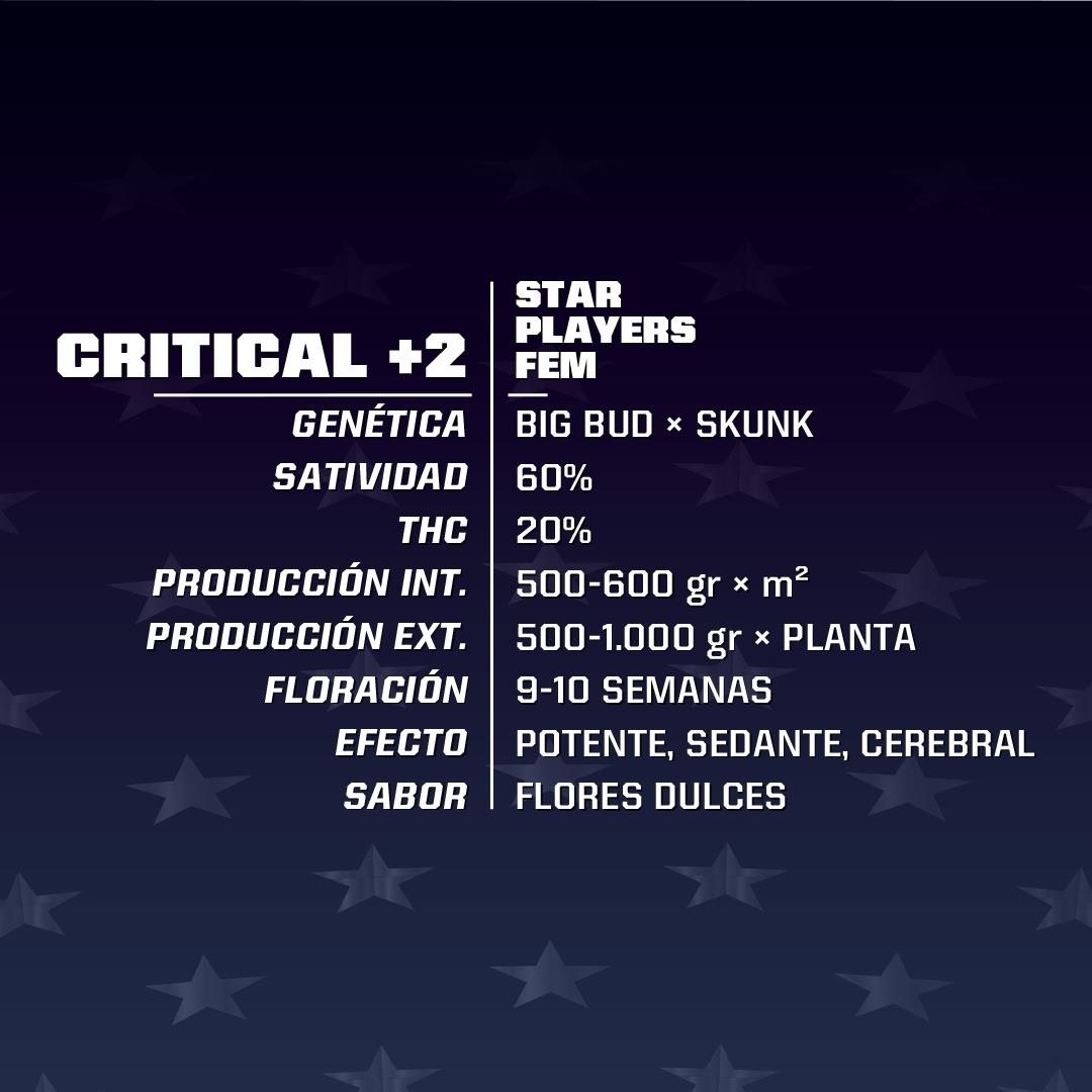 CRITICAL +2 FEM 2UDS BSF SEEDS