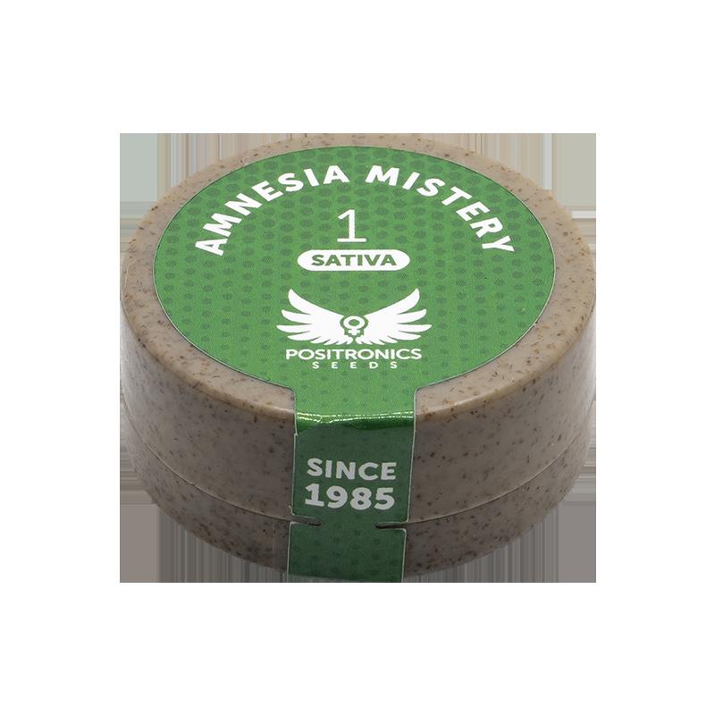 POSITRONICS AMNESIA MISTERY 1UD