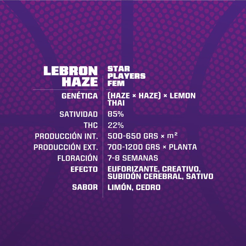 LEBRON HAZE 2UDS BSF SEEDS