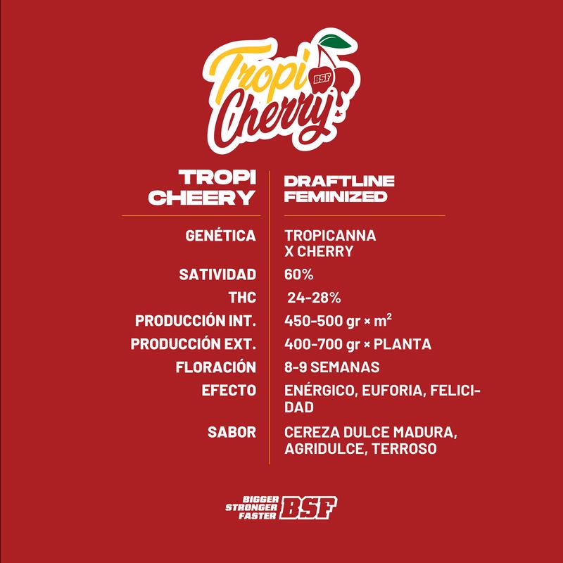TROPI CHERRY 4UDS BSF SEEDS
