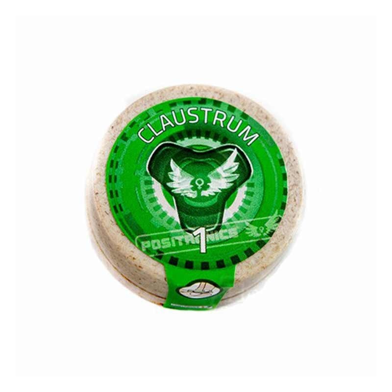 POSITRONICS CLAUSTRUM 1UD